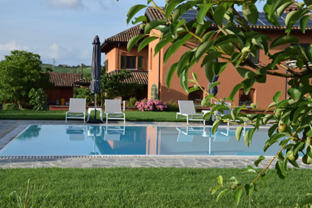 Glimpse of the pool through the orchard