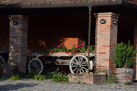 Flowers in blossom on the old cart