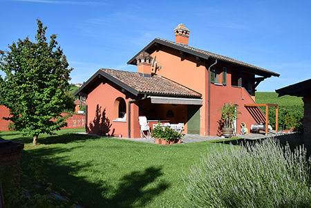 The garden and the &quot;Grapes&quot; apartment